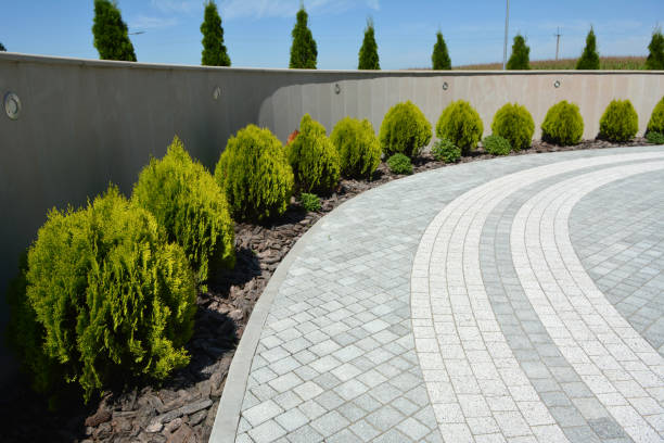 Best Residential Paver Driveway  in Romney, WV